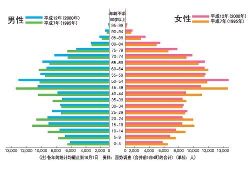 年龄(5岁为段)男女分别统计