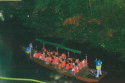 Firefly boats