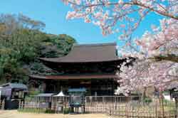 Kozanji Temple Buddhist Sanctum